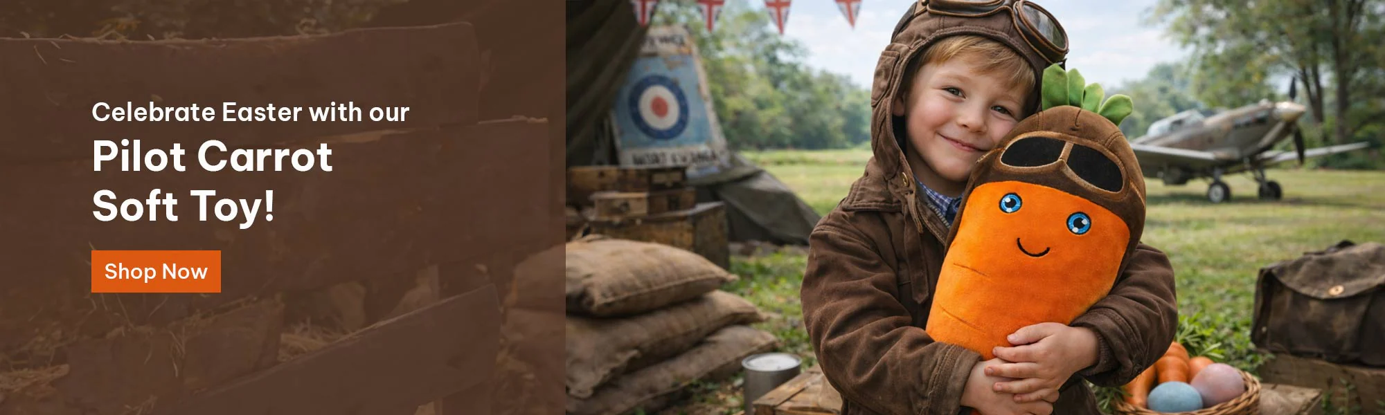 Own a Piece of Aviation History